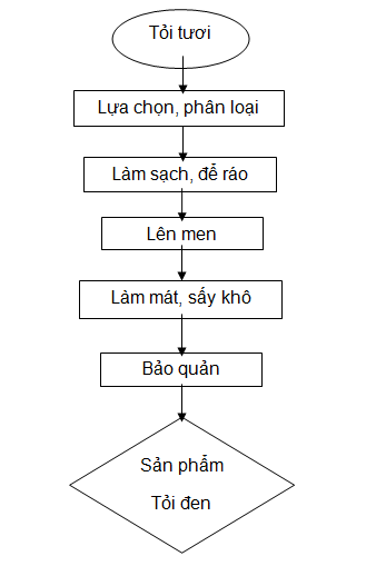 quy trình công nghệ sản xuất tỏi đen