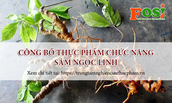 Công bố thực phẩm chức năng sâm ngọc linh nhanh chóng – FOSI